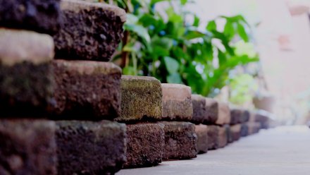 cocopeat P.T Traders