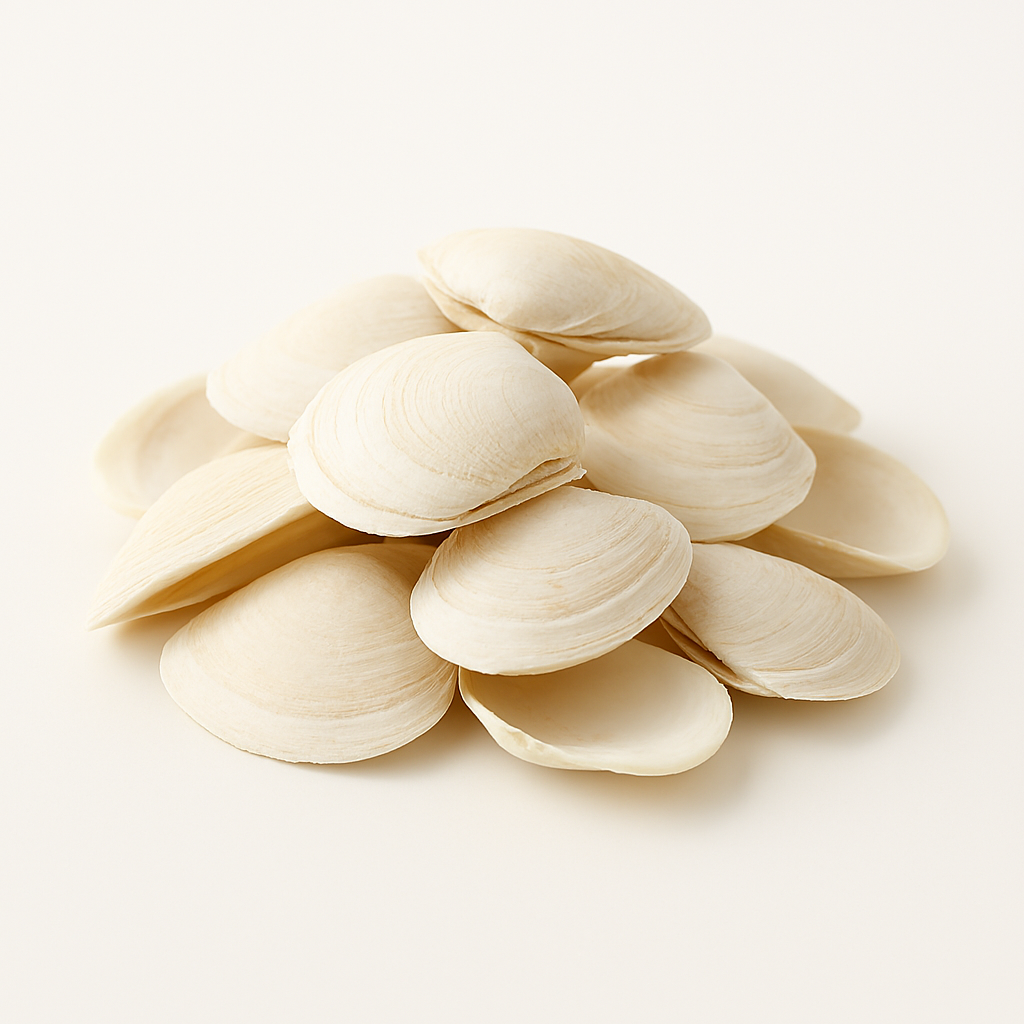 copilot 20250831 103722.png