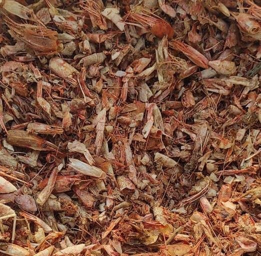 whatsapp image 2025 09 12 at 11.17.42 (1)