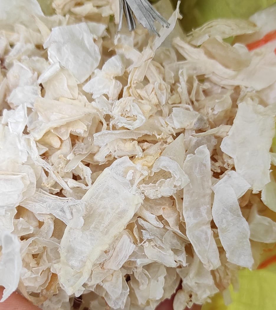 Best chitosan kerala