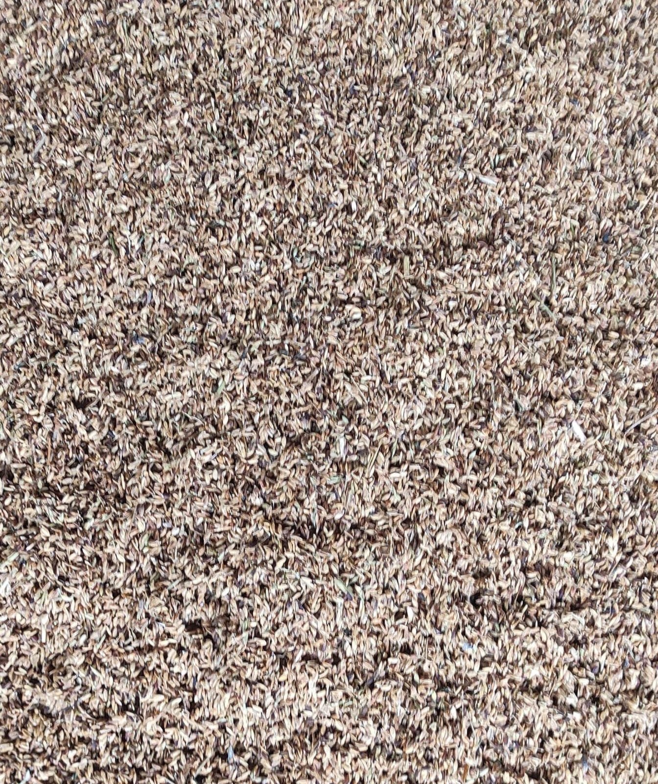 whatsapp image 2025 09 12 at 11.25.02 (1)