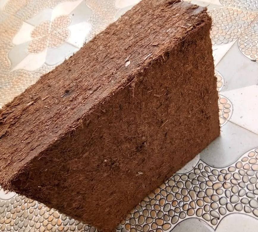 whatsapp image 2025 09 12 at 11.25.02 (2)