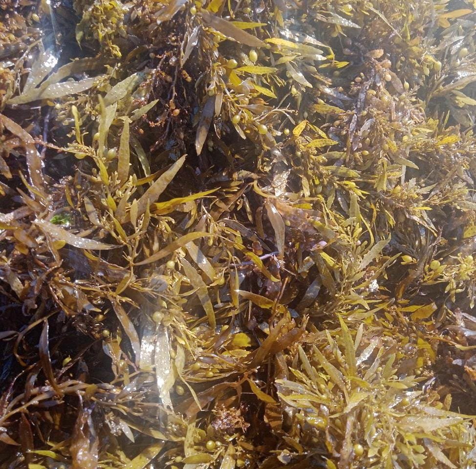 whatsapp image 2025 09 12 at 11.25.05