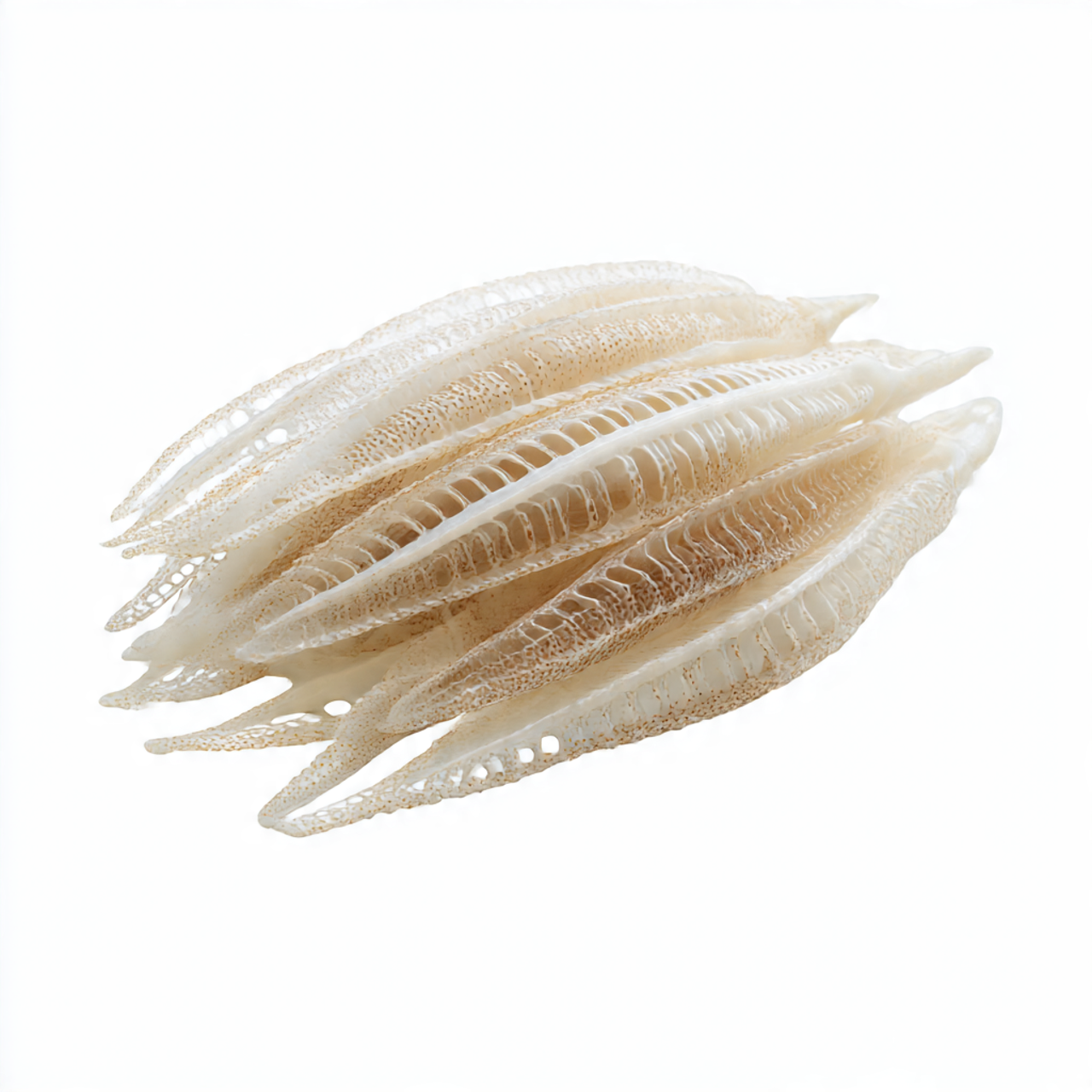 cuttle fishbone bulk white background.png